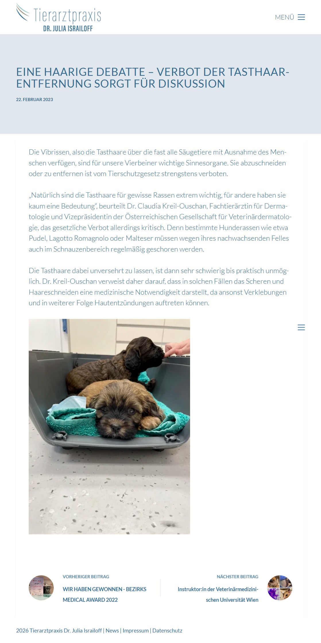 Katze schläft auf Kissen mit Kerzenlicht